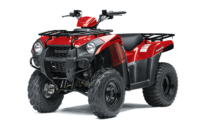 Kawasaki Brute Force 300 2013 - 2022