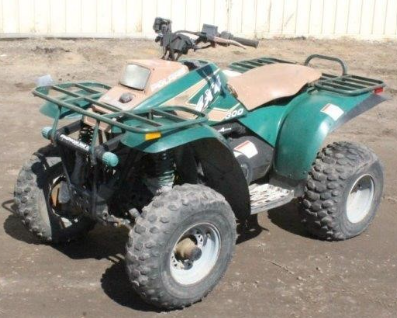 Polaris Magnum 300 1995 - 1995