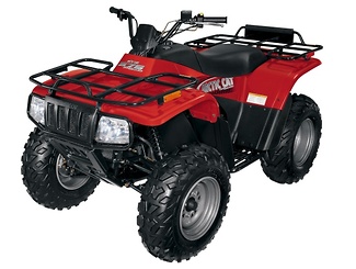 Arctic Cat 375 2002 - 2002